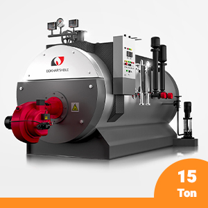 15 T