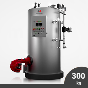 دیگ بخار عمودی 300 کیلوگرم